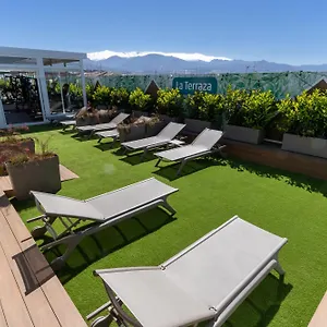 Occidental By Barceló Hotel